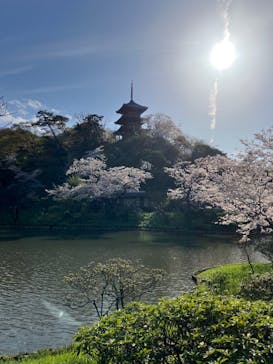 三溪園に投稿された画像（2023/3/28）