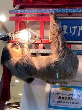 アニタッチみなとみらいに投稿された画像（2023/3/28）