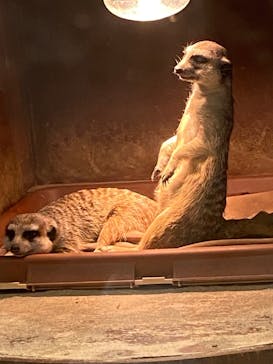 アニタッチみなとみらいに投稿された画像（2023/3/28）