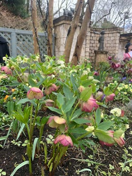 星の王子さまミュージアム 箱根サン=テグジュペリに投稿された画像（2023/3/28）