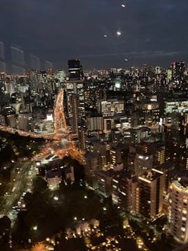 東京タワーに投稿された画像（2023/3/28）