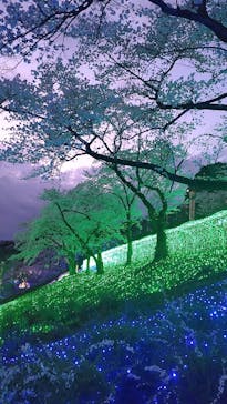 さがみ湖MORI MORIに投稿された画像（2023/3/28）