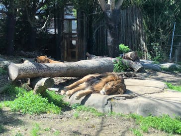 到津の森公園に投稿された画像（2023/3/28）