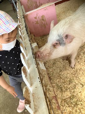 ワールド牧場に投稿された画像（2023/3/28）