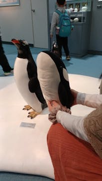名古屋港水族館に投稿された画像（2023/3/28）
