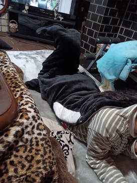 名古屋港水族館に投稿された画像（2023/3/28）