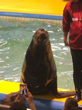 ゼロ距離水族館 伊勢シーパラダイスに投稿された画像（2023/3/28）