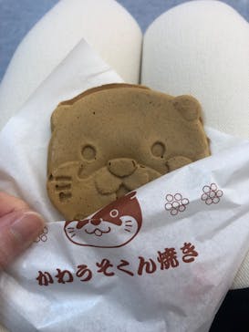 ゼロ距離水族館 伊勢シーパラダイスに投稿された画像（2023/3/28）