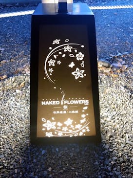 『NAKED FLOWERS 2023 桜 世界遺産・二条城』に投稿された画像（2023/3/28）