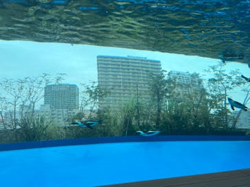 サンシャイン水族館に投稿された画像（2023/3/28）