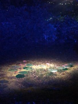 六義園に投稿された画像（2023/3/28）