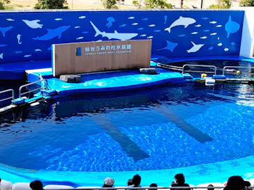 仙台うみの杜水族館に投稿された画像（2023/3/28）