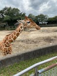 東武動物公園に投稿された画像（2023/3/28）