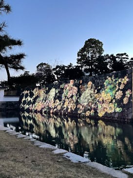 『NAKED FLOWERS 2023 桜 世界遺産・二条城』に投稿された画像（2023/3/28）