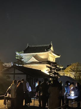 『NAKED FLOWERS 2023 桜 世界遺産・二条城』に投稿された画像（2023/3/28）