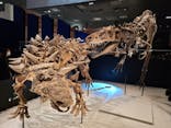 特別展「恐竜博2023」に投稿された画像（2023/3/28）