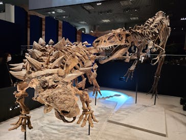 特別展「恐竜博2023」に投稿された画像（2023/3/28）