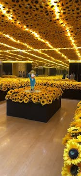 ゴッホ・アライブ神戸に投稿された画像（2023/3/28）