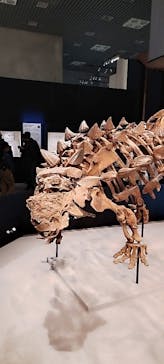 特別展「恐竜博2023」に投稿された画像（2023/3/28）