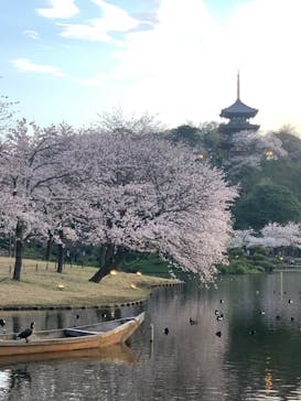 三溪園に投稿された画像（2023/3/28）