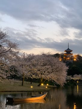 三溪園に投稿された画像（2023/3/28）