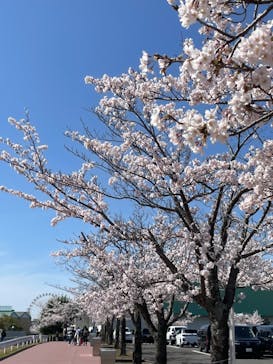 鈴鹿サーキットに投稿された画像（2023/3/28）