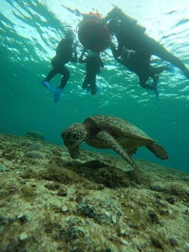 宮古島 ADVENTURE PiPi（ミヤコジマ アドベンチャー ピピ）に投稿された画像（2023/3/25）