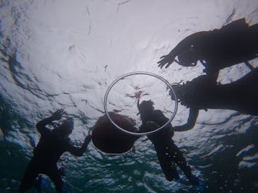 宮古島 ADVENTURE PiPi（ミヤコジマ アドベンチャー ピピ）に投稿された画像（2023/3/25）