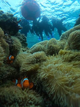 宮古島 ADVENTURE PiPi（ミヤコジマ アドベンチャー ピピ）に投稿された画像（2023/3/25）