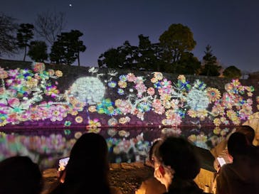 『NAKED FLOWERS 2023 桜 世界遺産・二条城』に投稿された画像（2023/3/28）