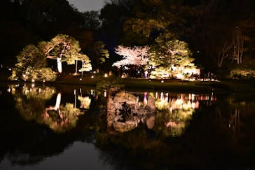 六義園に投稿された画像（2023/3/28）