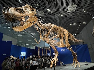 特別展「恐竜博2023」に投稿された画像（2023/3/28）