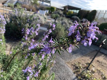 国立科学博物館に投稿された画像（2023/3/28）