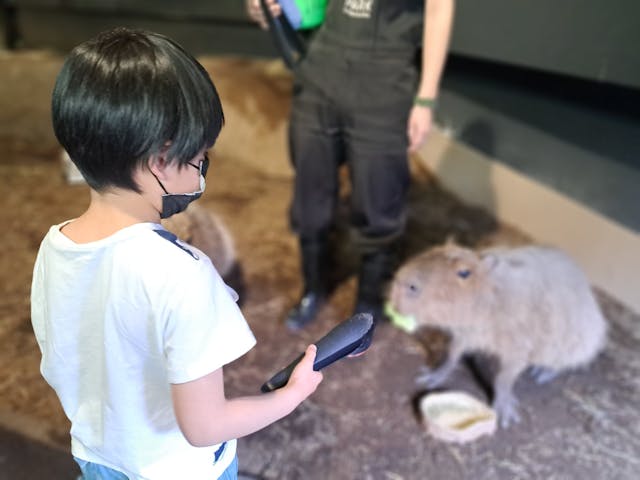 カピバラを間近に観察できること ｜まり さまの口コミ｜アソビュー！