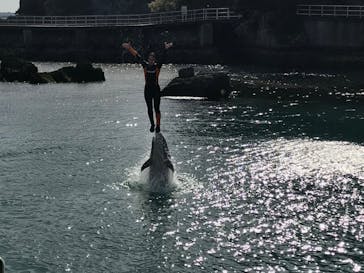 下田海中水族館に投稿された画像（2023/3/28）