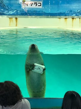 下田海中水族館に投稿された画像（2023/3/28）