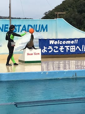 下田海中水族館に投稿された画像（2023/3/28）