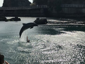 下田海中水族館に投稿された画像（2023/3/28）
