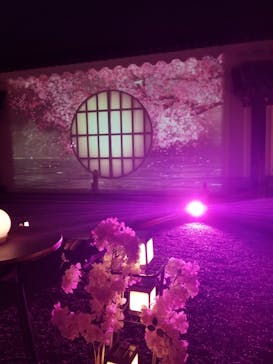 『NAKED FLOWERS 2023 桜 世界遺産・二条城』に投稿された画像（2023/3/28）