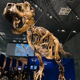 特別展「恐竜博2023」に投稿された画像（2023/3/29）