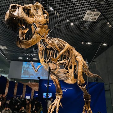 特別展「恐竜博2023」に投稿された画像（2023/3/28）