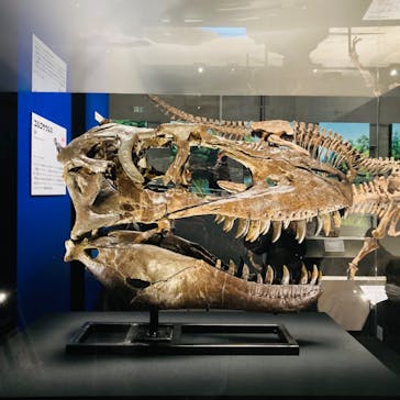 特別展「恐竜博2023」に投稿された画像（2023/3/28）