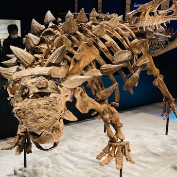 特別展「恐竜博2023」に投稿された画像（2023/3/28）