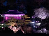『NAKED FLOWERS 2023 桜 世界遺産・二条城』に投稿された画像（2023/3/29）