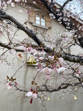 星の王子さまミュージアム 箱根サン=テグジュペリに投稿された画像（2023/3/28）