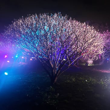 せんだい農業園芸センター　みどりの杜に投稿された画像（2023/3/29）