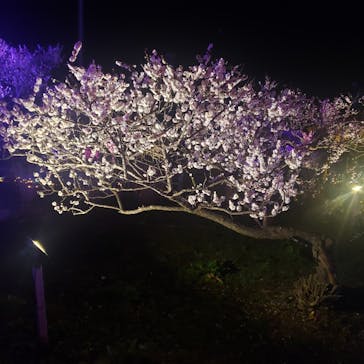 せんだい農業園芸センター　みどりの杜に投稿された画像（2023/3/29）