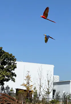 神戸どうぶつ王国に投稿された画像（2023/3/29）