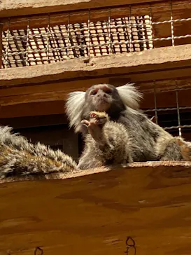 神戸どうぶつ王国に投稿された画像（2023/3/29）