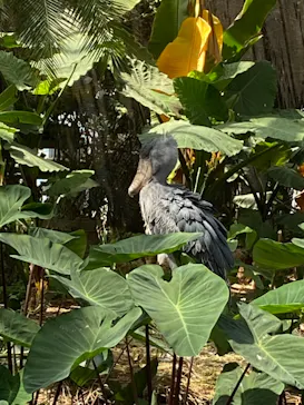 神戸どうぶつ王国に投稿された画像（2023/3/29）